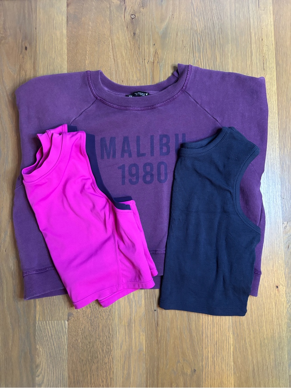 Zara Plum Graphic Crew Sweatshirt with Pink & navy Tops